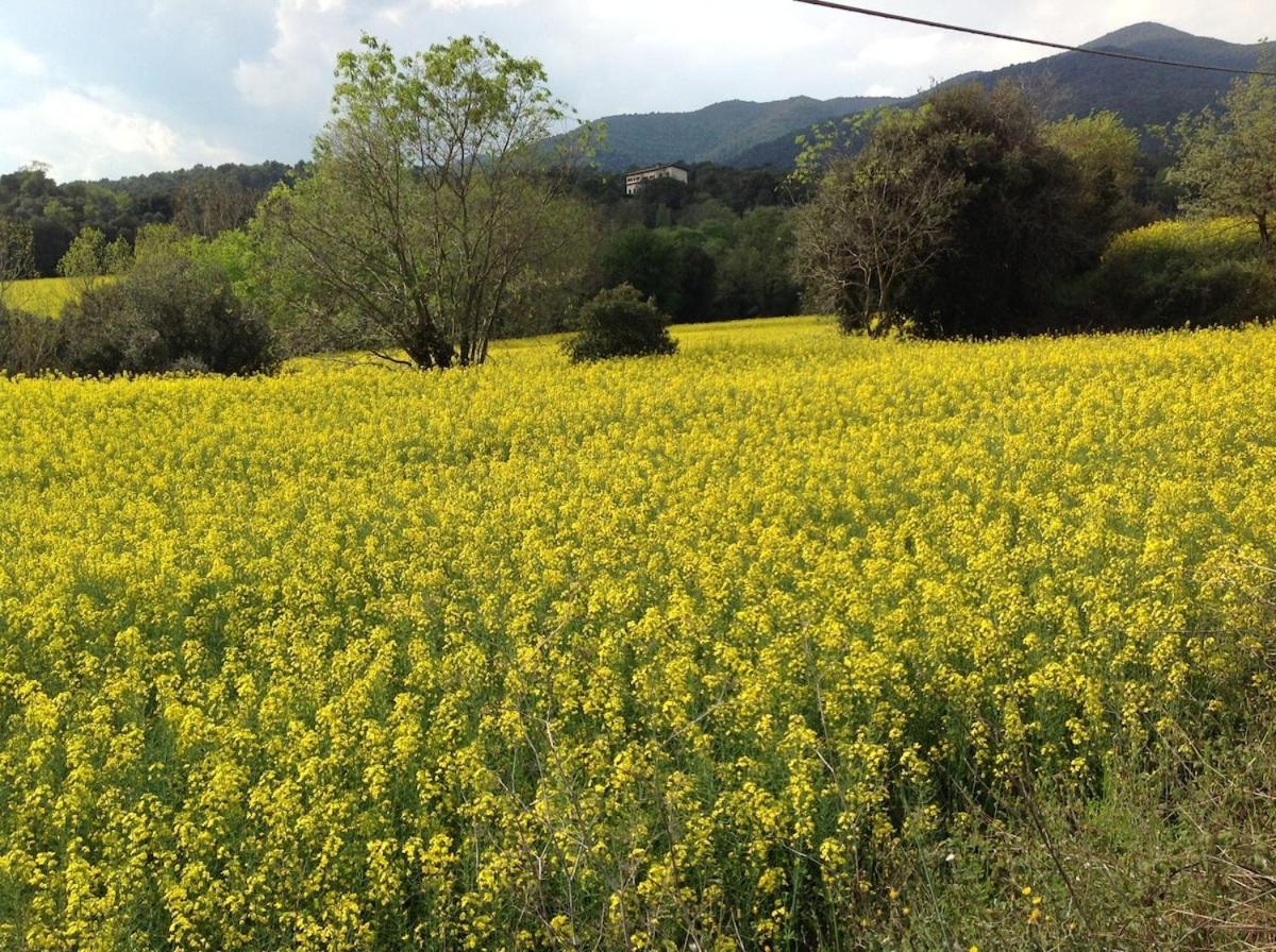 Casa Rural Can Panxa Sant Pere de Vilamajor Экстерьер фото
