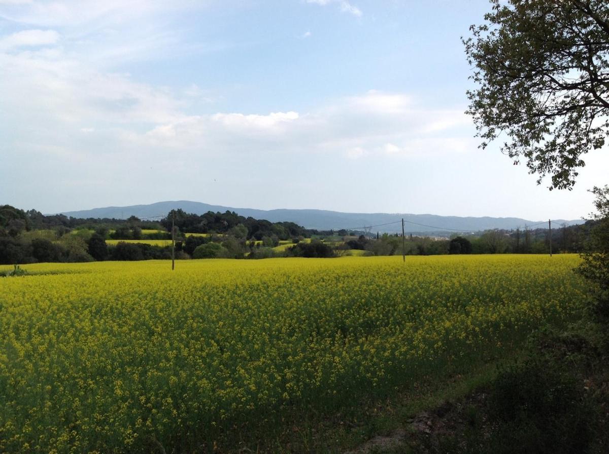 Casa Rural Can Panxa Sant Pere de Vilamajor Экстерьер фото